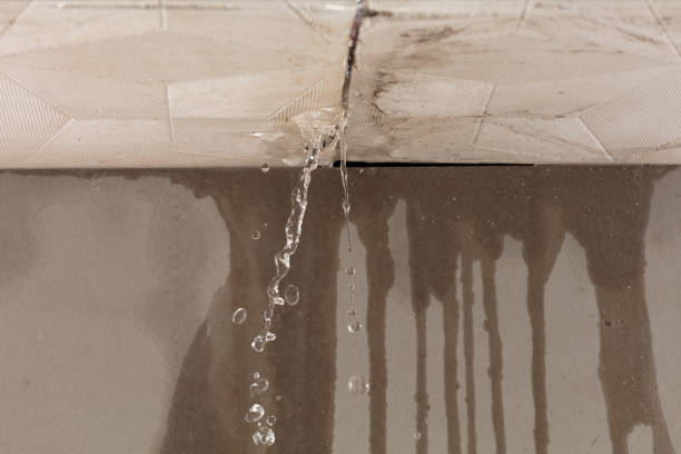 Professional Structural Drying technician working in South Vienna, OH